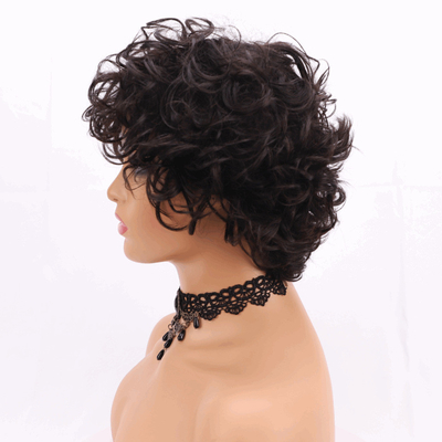 250% Dichte Pixie Schnitt lockiges menschliches Haar Perücke mit Schweizer Spitze Basismaterial
