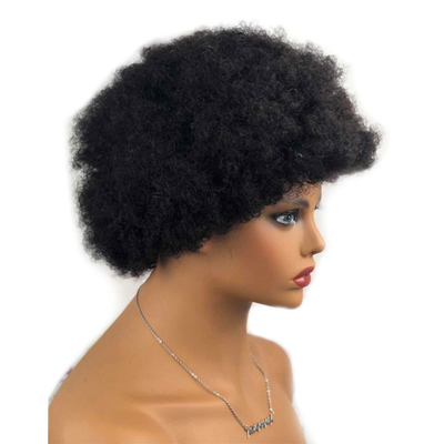 Jungfräuliches Haar Perücke Pixie Schnitt Perücke Kurze Afro Kinky lockige Perücke 100% brasilianisches Haar